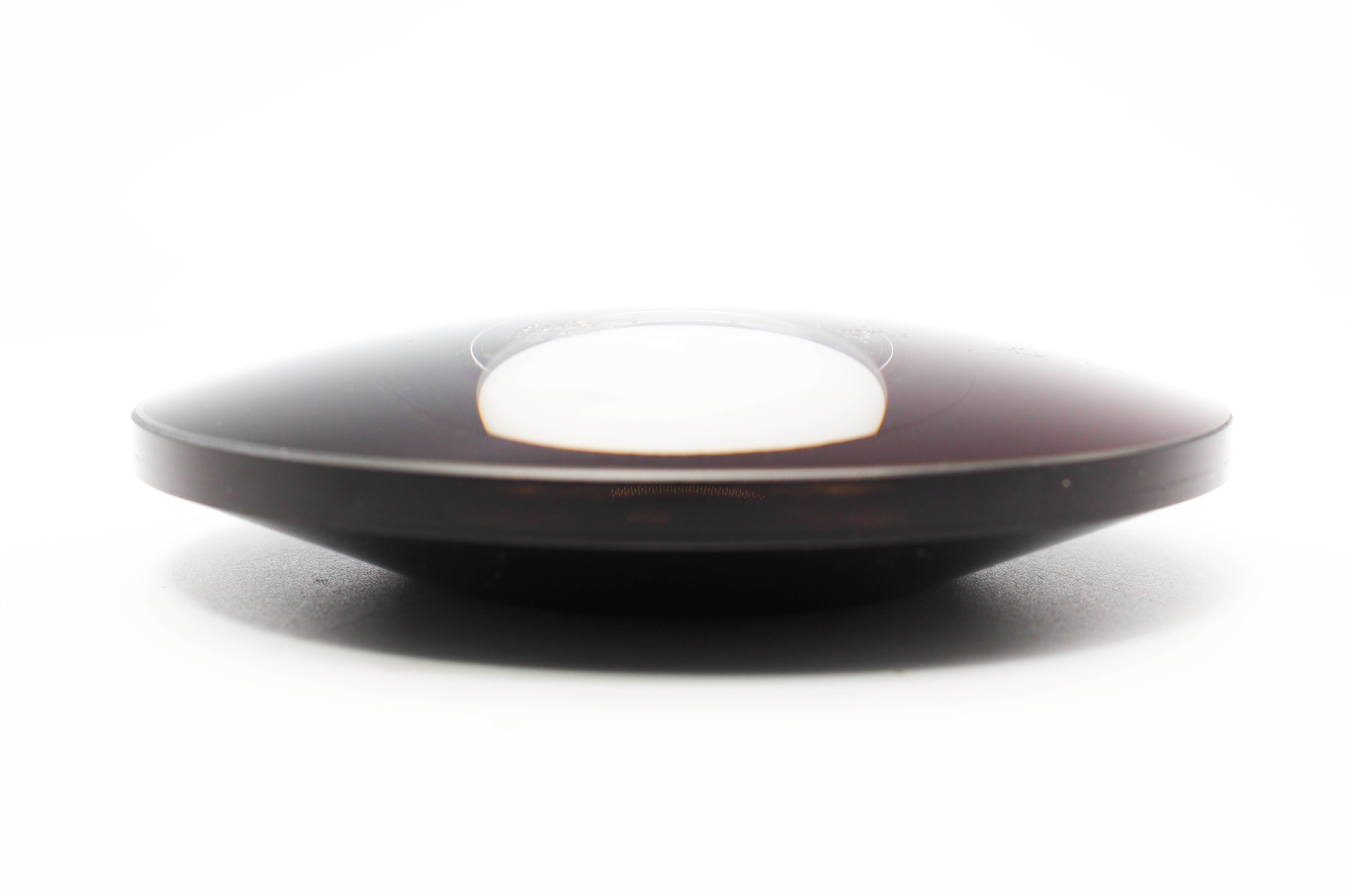 Century Optics MK1 0.3X Ultra Fisheye Adapter Lens Replacement Front Glass Element - Heavily Used